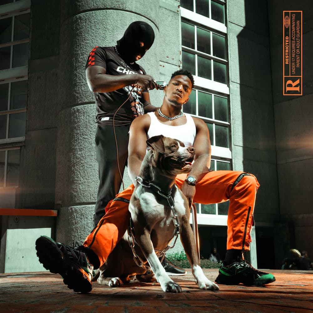 Pochette de l'album Mr Sal de Niska (2019)
