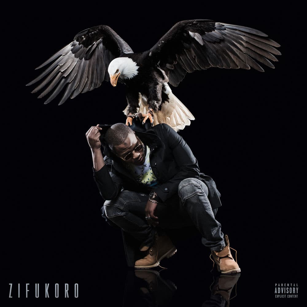 Pochette de l'album Zifukoro de Niska (2016)